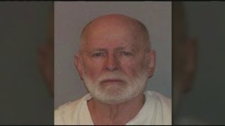 Bulger not going to testify in court