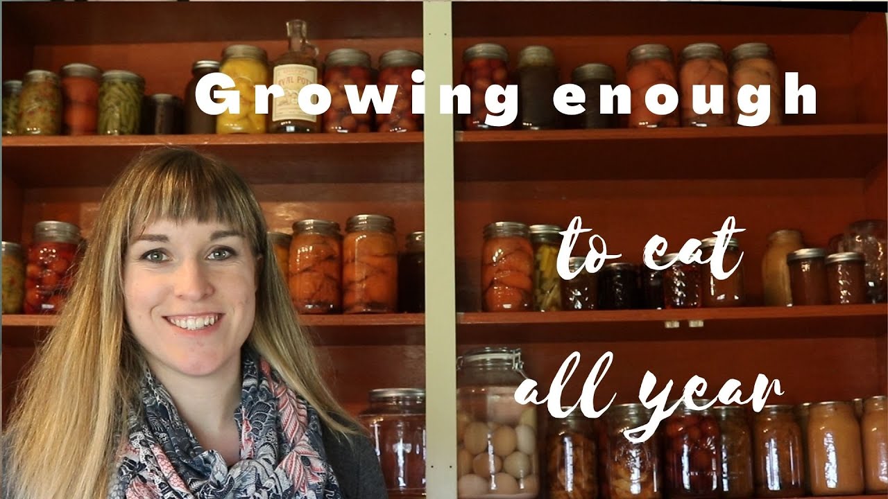 VLOG | Deciding how much to plant in my vegetable garden using last year's stores