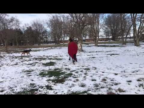 Nieve En Mississippi - YouTube