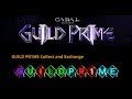 Guild Prime Box opening
