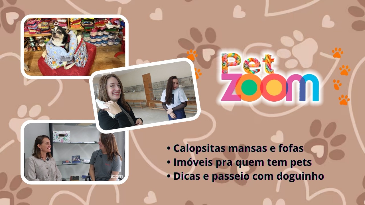Pet Zoom | Calopsitas mansas e fofas. Imóveis pra quem tem pets. Dicas e passeio com doguinho