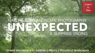 A New Location and a Surprise Ending | Landscape and Nature Photography