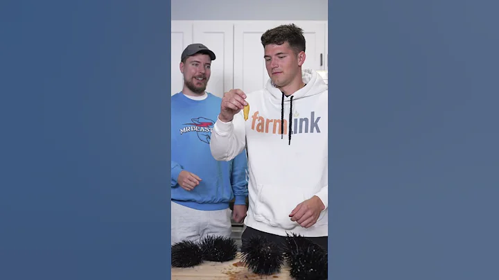 Sea Urchin Tasting (ft. MrBeast)