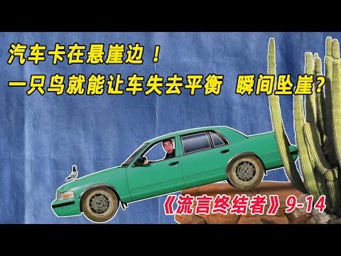 流言终结者：车子卡在悬崖边！一只小鸟就能让车失去平衡！瞬间坠崖？（S9E14）