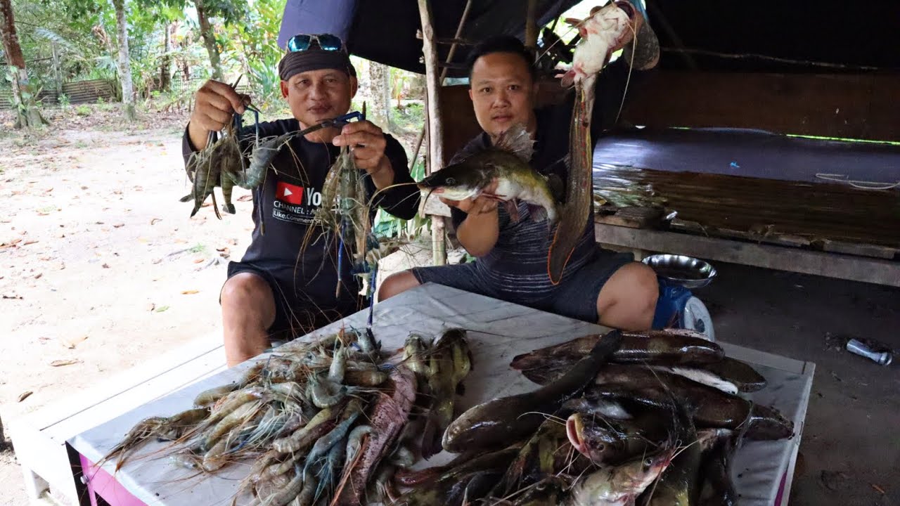 Ajeng Borneo Bawa Dua Tong Ikan,Saya Beli Semua Udah Galah Dan Baung Kuning.