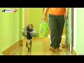 Adorable Kako Help Mom Walking Carry Vegetable To Kitchen Room And Eat Guava Fruits