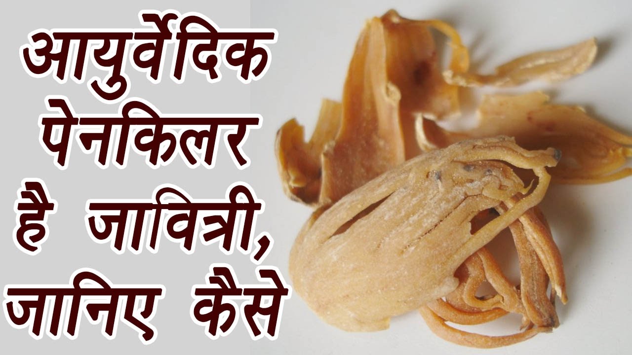 जावित्री, Mace Health Benefits क्या जावित्री के ये गुण जानते है आप