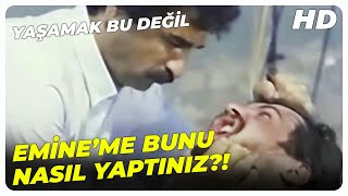 İbrahim, Eminenin İntik Alıyor Yaşamak Bu Değil Filmi En İyi Sahneler