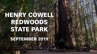 Henry Cowell Redwoods State Park