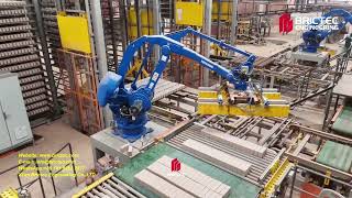Brictec Cbt Project Fully Automated Clay Brick Factory Production Line 70,000 Bricks Daily