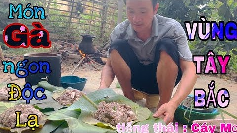 Gà Mọ | Món ăn của dân tộc thái tây bắc, ẩm thực tây bắc - Thợi Blue