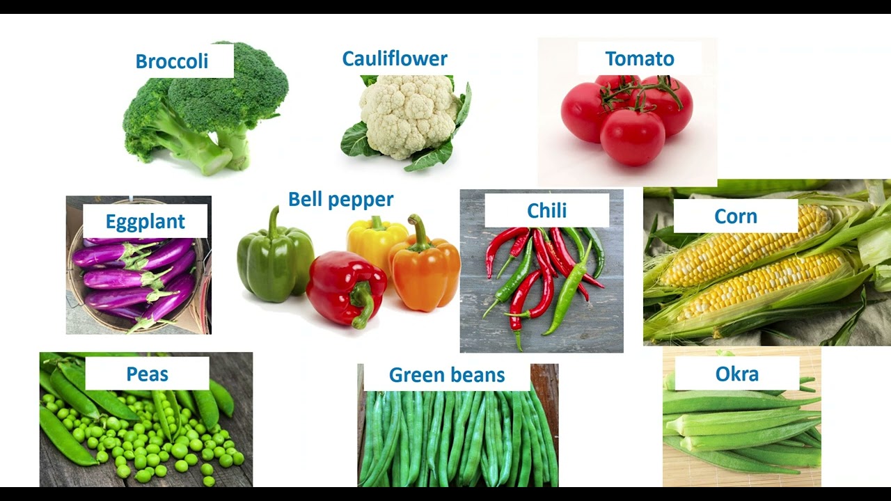 Learn Vegetables in English | Kids English Learning | Kind English Corner