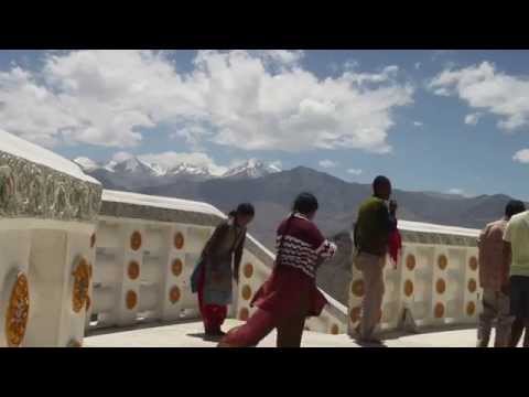 Indian Hue: Gold Panda - Quitters Raga