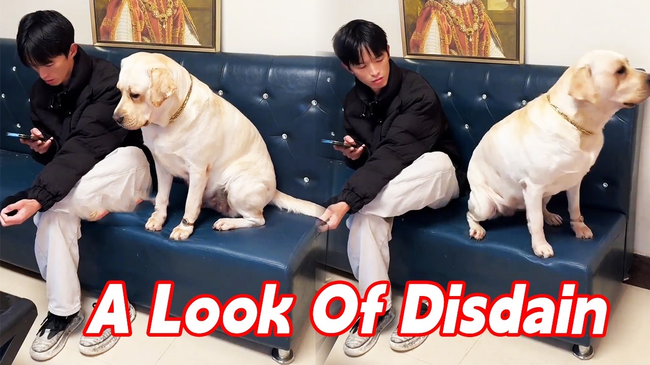 The Master Picked His Toes, And The Seventh Princess Looked Disgusted.