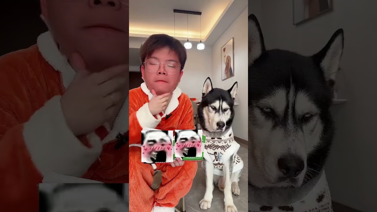 Laifu is annoying me again. I'm planning to research how to cook dog meat from now on. 