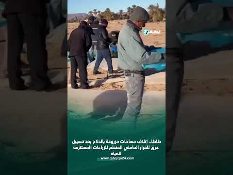 طاطا إتلاف مساحات مزروعة بالدلاح بعد تسجيل خرق للقرار العاملي المنظم للزراعات المستنزفة للمياه