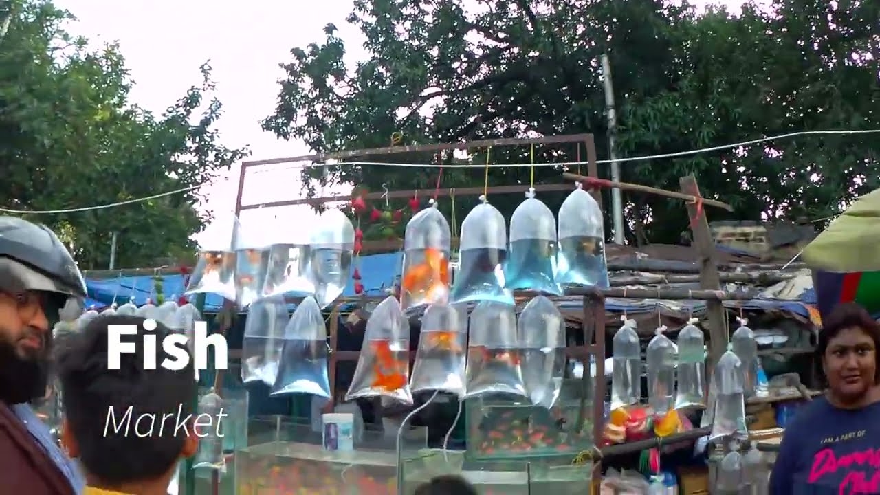 Sunday Famous Pet and Tree Market in Kolkata