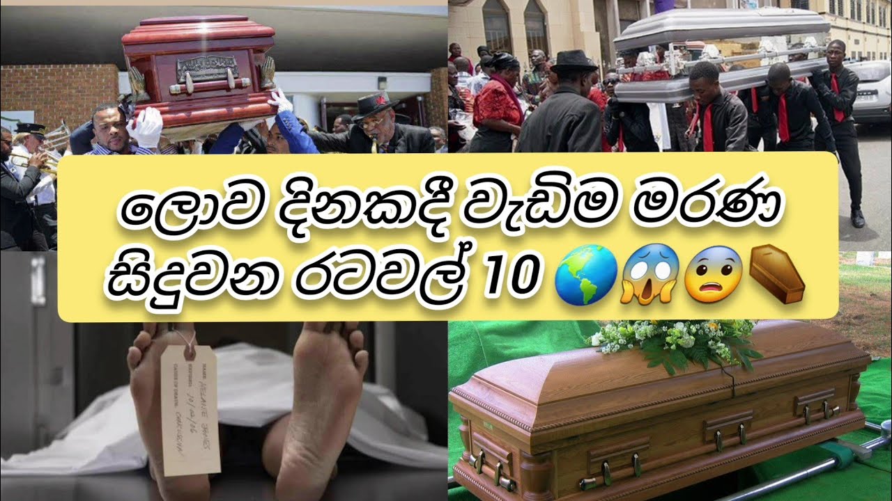ලොව දිනකදී වැඩිම මරණ සිදුවන රටවල් 10 🌎😱😨⚰️ 10 countries highest number