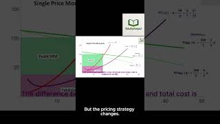 Third-Degree Price Discrimination in 60 Seconds | Monopoly Pricing Explained