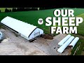 Welcome to our Sheep Farm (A TOUR OF OUR FARM 2020): Vlog 257