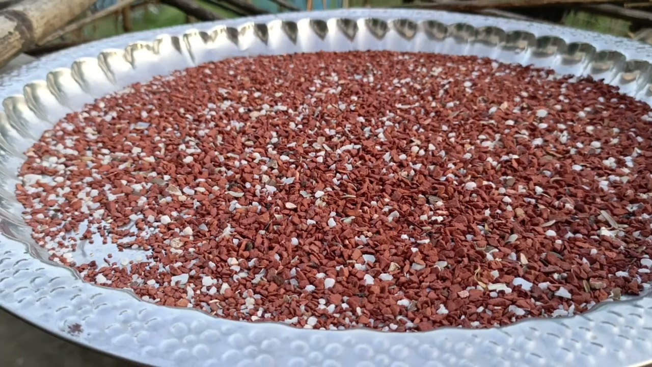 কিভাবে খাবার তিন ভাগে ভাগ করে দিবেন কবুতরকে 