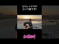 弾き語り🎵 #shorts #邦ロック #インディーズバンド #ユウレイクラゲ #高校生バンド #弾き語り