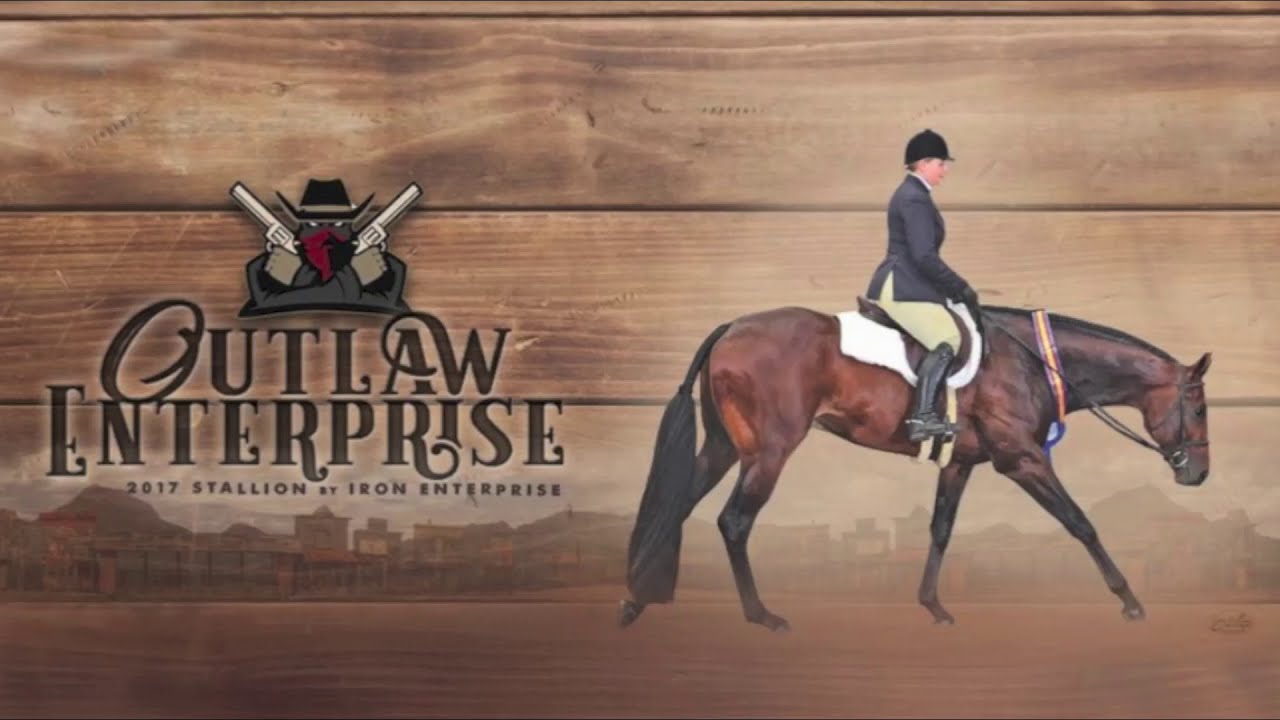OUTLAW ENTERPRISE & JUDY ZEITLER - 2020 AQHA WORLD CHAMPIONSHIP SHOW