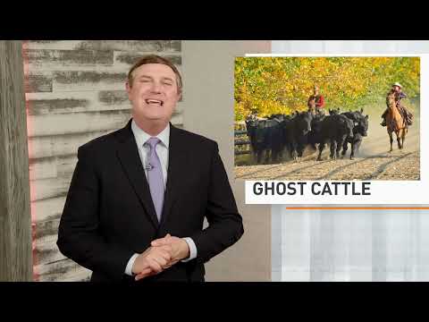 Uncovering The Mysterious Ghost Cattle Scheme In Kentucky