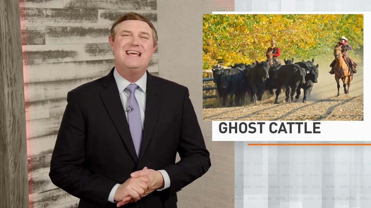 Uncovering the Mysterious 'Ghost Cattle' Scheme in Kentucky