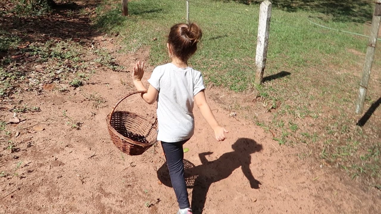 PELA ESTRADA A FORA, EU VOU BEM SOZINHA... - FLAVIA CALINA ovo de galinha azul