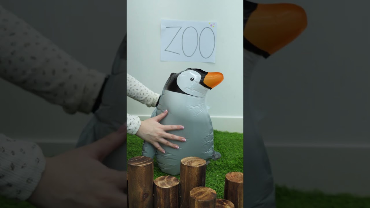 펭귄을 만져보고 싶었던 고양이🐧