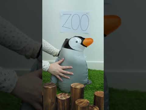 펭귄을 만져보고 싶었던 고양이🐧