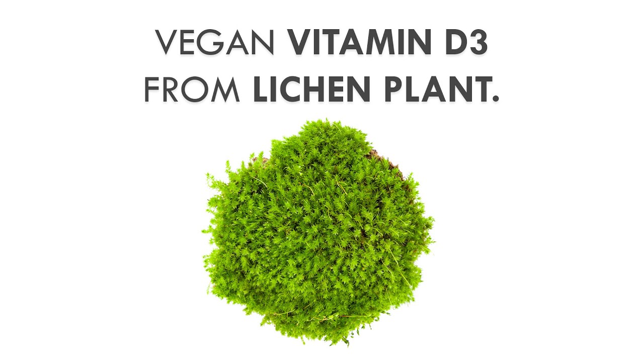 Vegan Vitamin D3 (Cholecalciferol) Lichen Plant Health Care Video