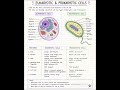 Eukaryotic and Prokaryotic Cells #biology #neet #physicswallah #cell #class9 #class10 #ncert