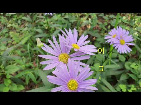어깨 한번만 빌려줄래요