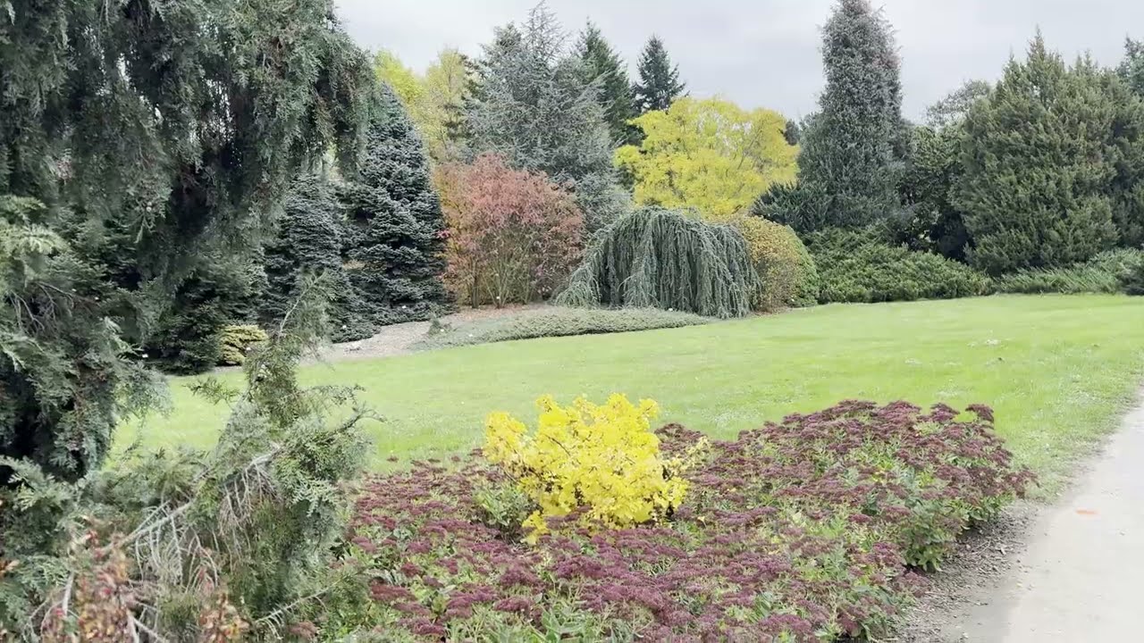 Дендропарк в Пругонице. Прага