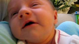 joss sneeze.avi