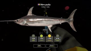 : Russian Fishing 4 -  ! #shorts  #vertical