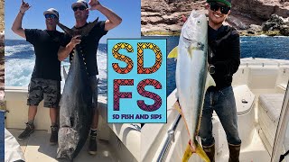 San Diego Fishing | Big Bluefin Tuna Kite, Coronado Islands Yellowtail & Dorado, Sportfishing SDFS