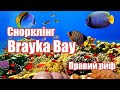 Снорклінг - Brayka Bay | Феєрія Мандрів