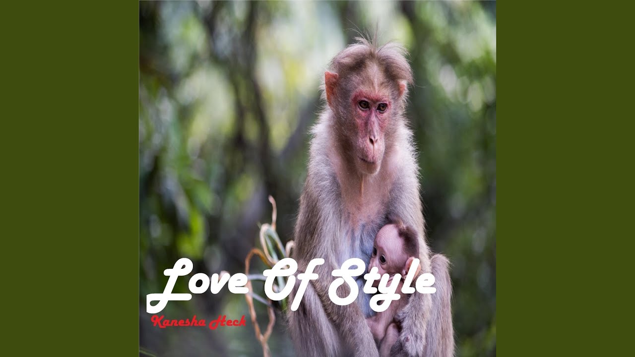 Style of Love - YouTube