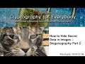 Mastering Image Steganography: Hide Secret Data Effortlessly ๐
