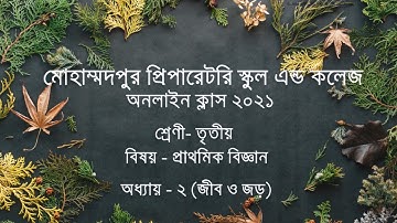 তৃতীয় শ্রেণী - প্রাথমিক বিজ্ঞান ( অধ্যায় ২- জীব ও জড়  /২য় অংশ- উদ্ভিদের শ্রেণীবিন্যাস )