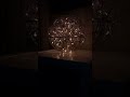 Video 3. 3/1/25