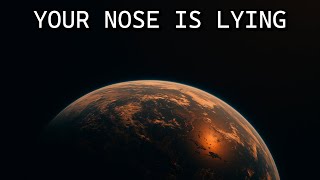 Your Nose Is Doing Quantum Physics in Space