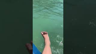 ,✌️ #shorts#shorts #มาแรง #ဂျပန်ဂတုံး#မြန်မာအောကား#ထိုင်းသချင်း#အပြာကား screenshot 4