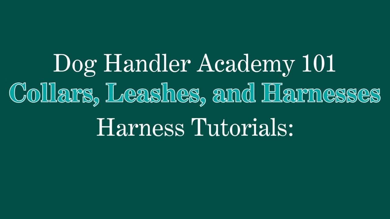 Freedom No-Pull Harness Tutorial | Dog Handler Academy