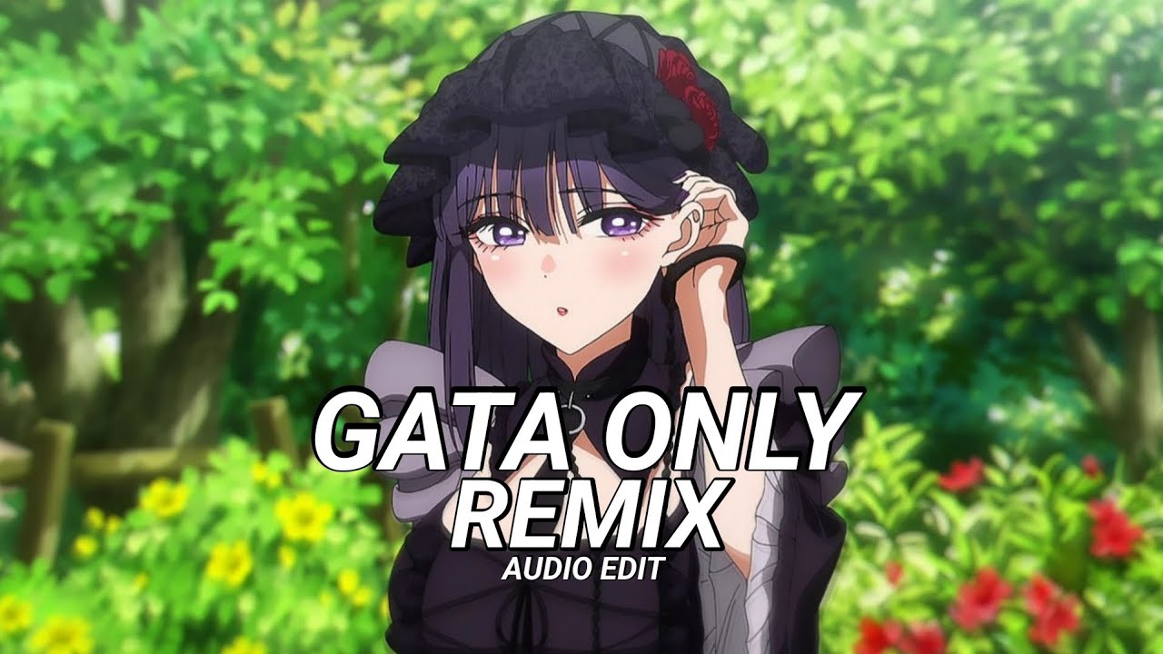 FLOYYMENOR, ANITTA, OZUNA - GATA ONLY REMIX ✓ [audio edit ]