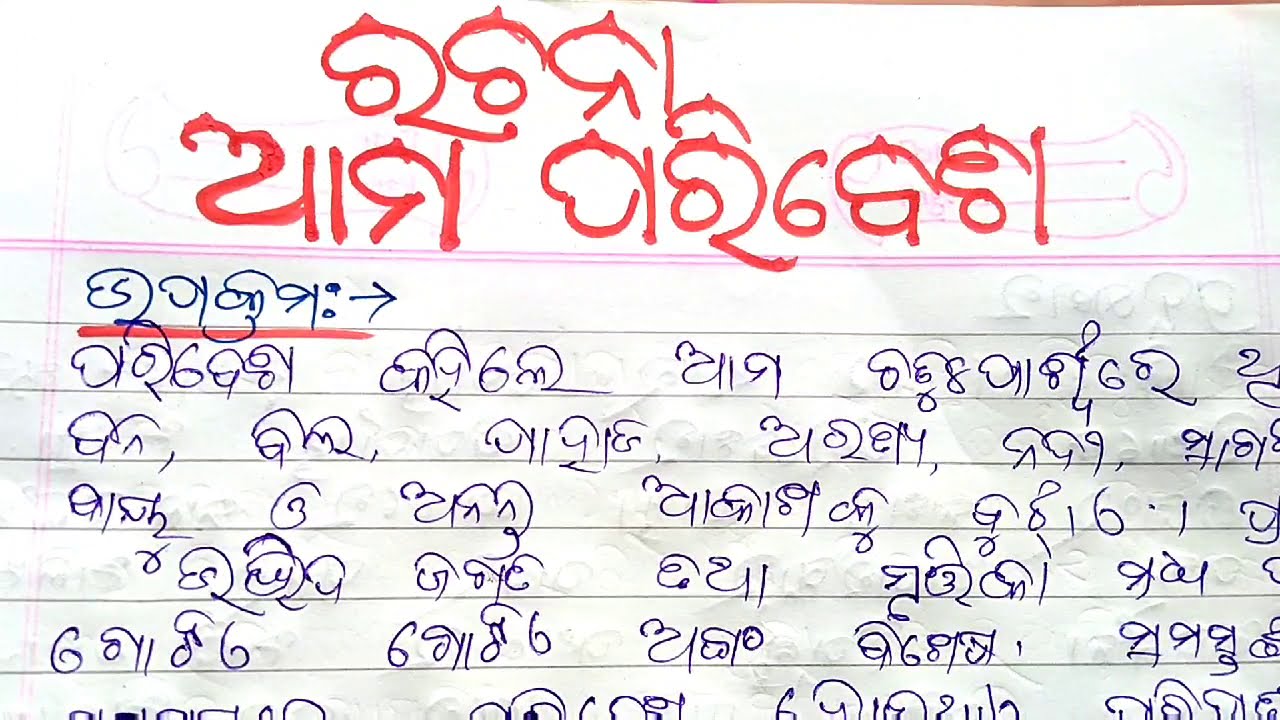 environment essay in odia