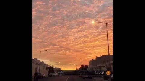 تلاوة عطره تريح القلب حالات واتساب 🕊️ ❤️